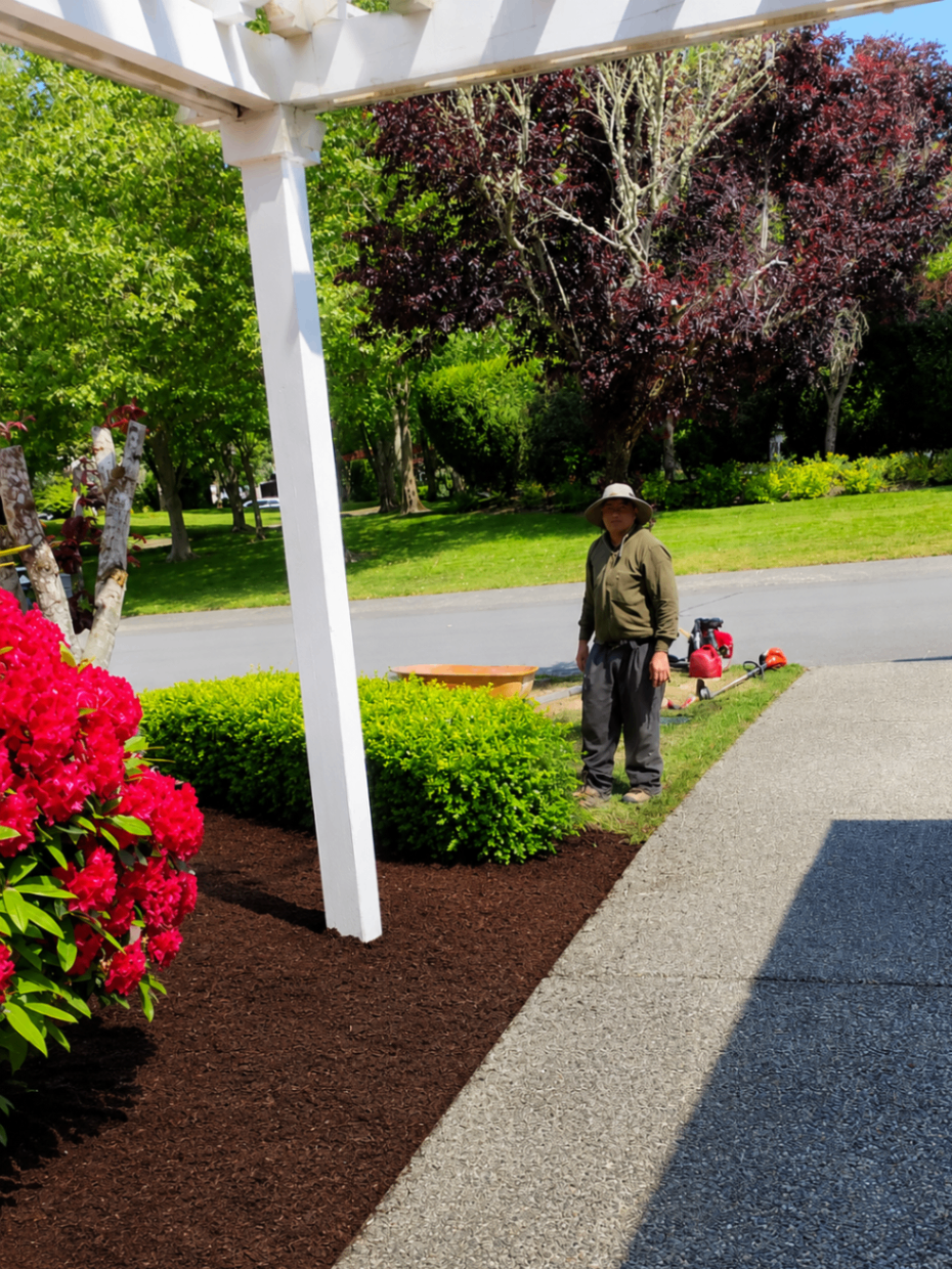 Mulch Installation